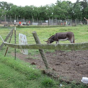 Example of fencing at this facility