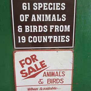 Our park has animals for sale!