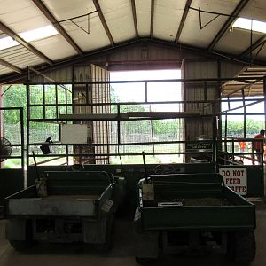 Giraffe/Goat Barn - Interior