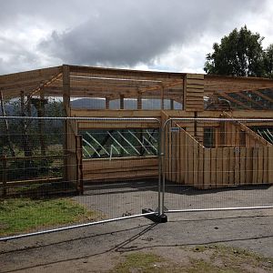 New snow leopard enclosure