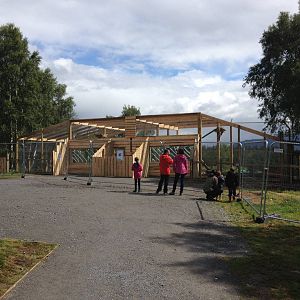 New snow leopard enclosure
