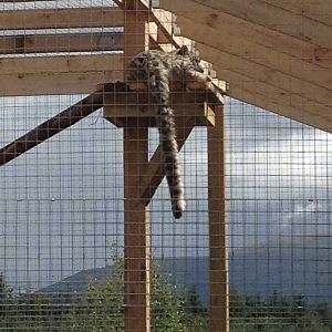 The park's newest resident