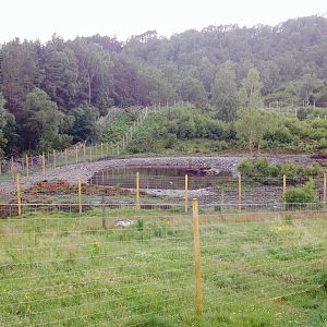 Overview of Victoria's enclosure