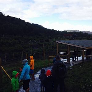 Polar bear viewing area