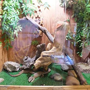 Spiny-tailed Monitor Enclosure