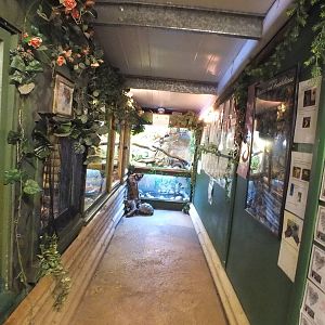 View In part of the Reptile Building