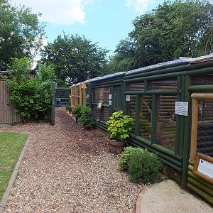 Row of Enclosures for Birds and Small Mammals