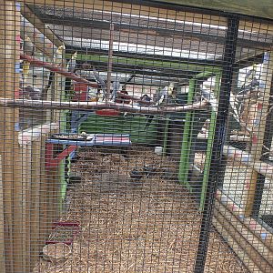 Example Bird Aviary