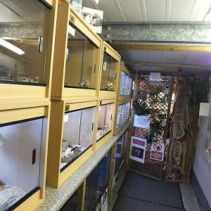 Enclosures with Reptiles in Need of Re-homing