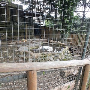 The Smaller Beaver Enclosure