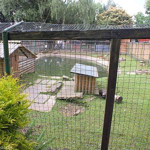 The Main Beaver Enclosure