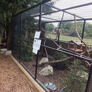 Red Squirrel Enclosure