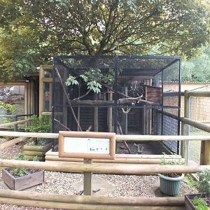 Crow Enclosure with Small Primate Enclosures on the left