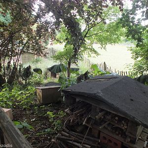 'Conservation Corner'