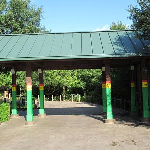 African Forest - Entryway