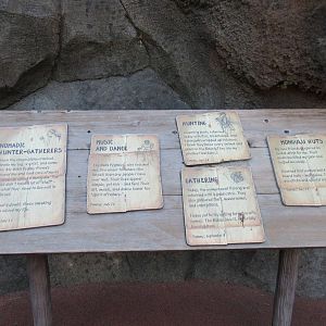 African Forest - Sign