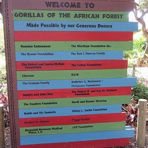 Gorillas of the African Forest - Sign