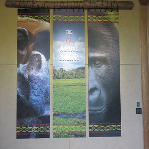 Gorillas of the African Forest - Arrival Building Sign