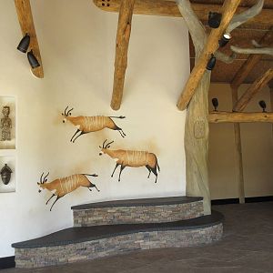 Gorillas of the African Forest - Arrival Building