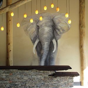 Gorillas of the African Forest - Arrival Building