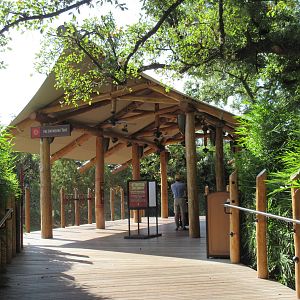 Gorillas of the African Forest - Outdoor Viewing Deck