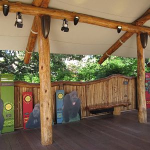 Gorillas of the African Forest - Viewing Deck