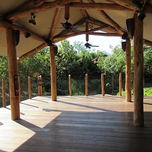 Gorillas of the African Forest - Viewing Deck