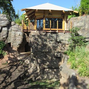 Gorillas of the African Forest - Keeper's Observation Deck?