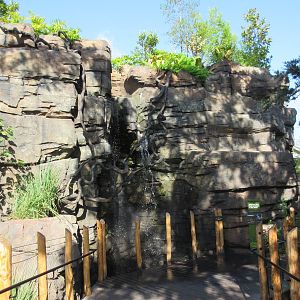Gorillas of the African Forest - waterfall along pathway