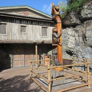 Gorilla + Chimpanzee Building - Indoor Viewing Area