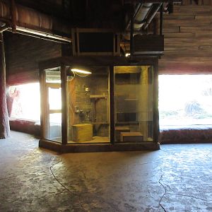 Chimpanzee Exhibit - Chimp Training Room