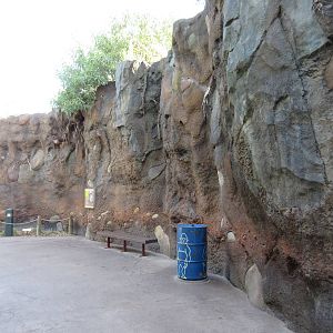 Chimpanzee Exhibit - enormous walls along visitor pathway