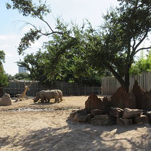 White Rhino/Greater Kudu Exhibit