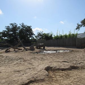 White Rhino/Greater Kudu Exhibit