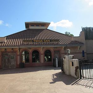 Twiga Cafe - it overlooks the giraffe/ostrich/zebra yard