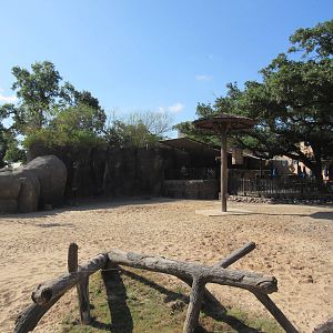 Masai Giraffe/Ostrich/Grant's Zebra Exhibit