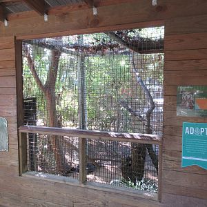 Children's Zoo - Great Horned Owl Exhibit