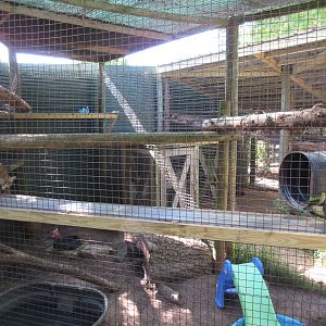 Children's Zoo - Bobcat Exhibit