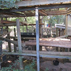 Children's Zoo - Raccoon Exhibit