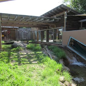 Children's Zoo - North American River Otter Exhibit