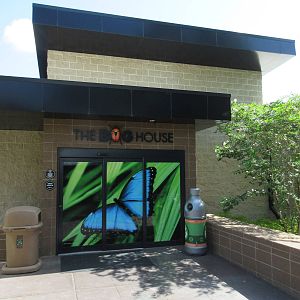 Bug House - Entrance #2