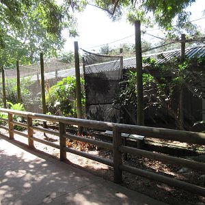 Another long row of aviaries