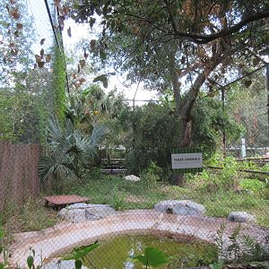 Shoebill Stork Aviary - divided into two