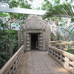 Tropical Bird House - Walk-Through Aviary