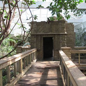 Tropical Bird House - Walk-Through Aviary