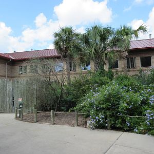 Giraffe Barn - rear view