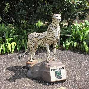 Cheetah Statue