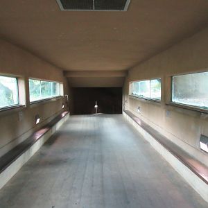 African Lion Exhibit - Viewing Tunnel
