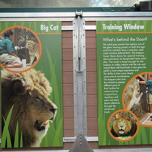 African Lion Exhibit - Training Wall Sign