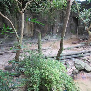 Grizzly Bear Exhibit